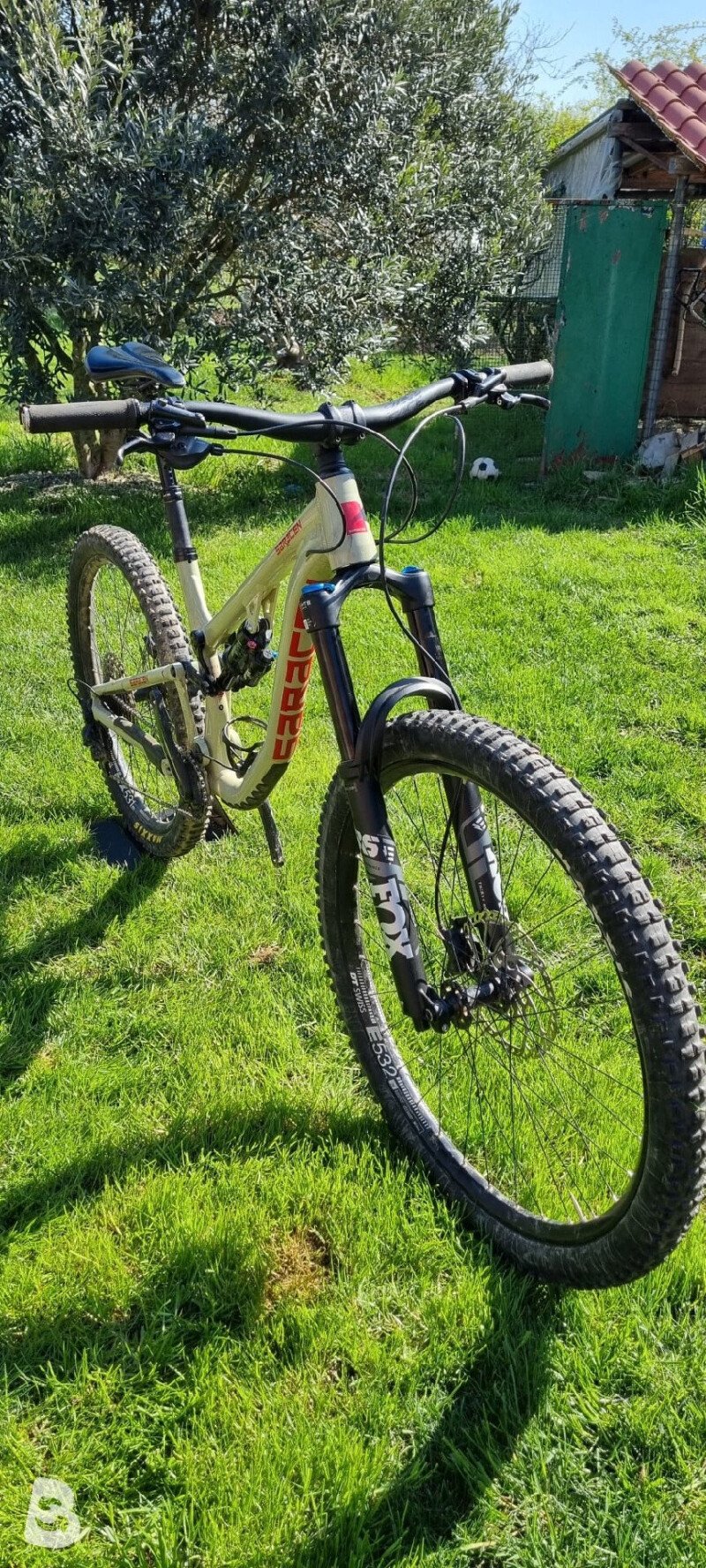 Saracen Ariel 60 2025