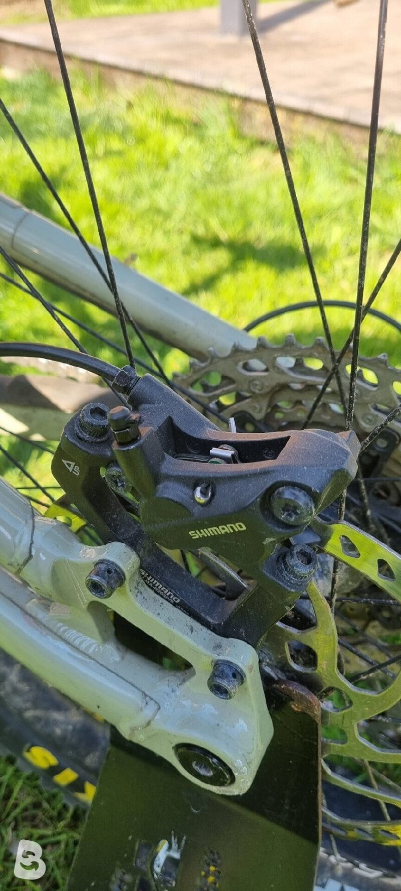 Saracen Ariel 60 2025