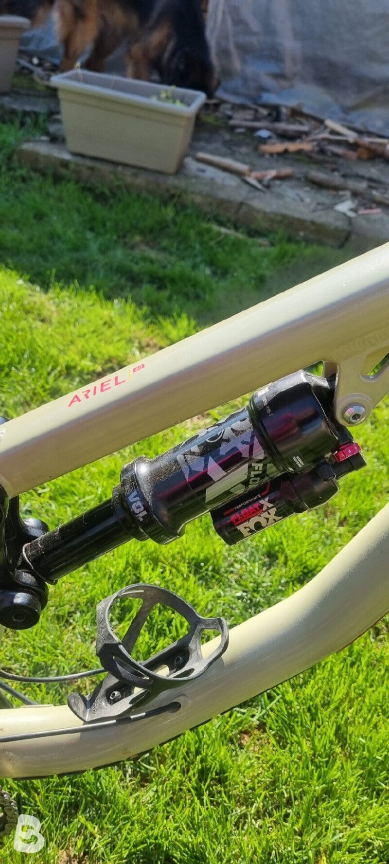 Saracen Ariel 60 2025