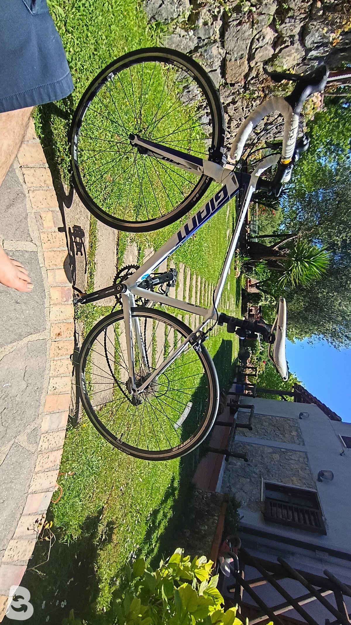 Giant Defy Advanced 1 2016