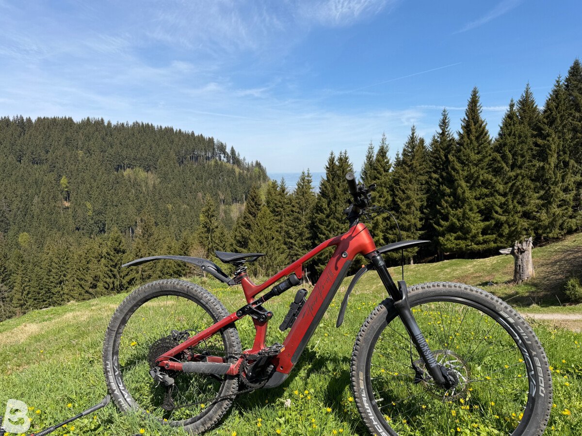 Franz Kneissl Fs03 2023