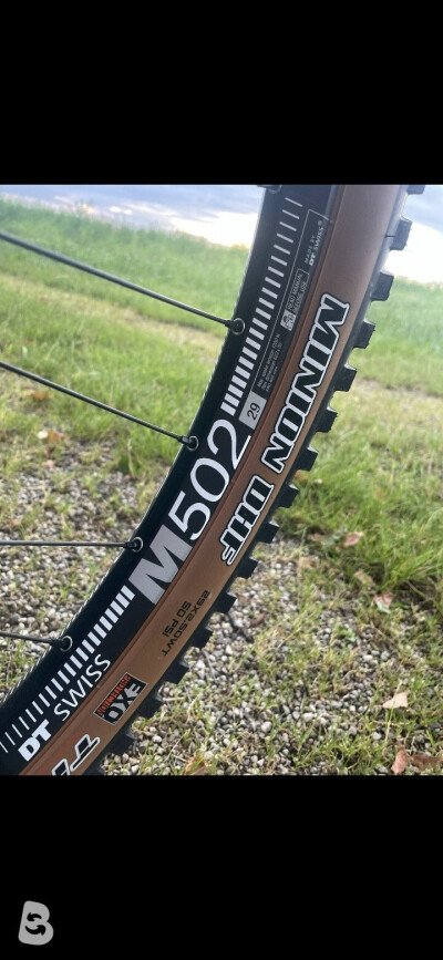 Kellys Noid 90 2021