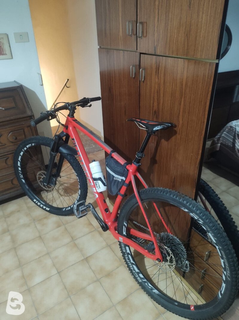 Bottecchia Aquila Rossa EVO 2022