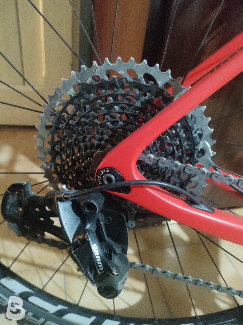Bottecchia Aquila Rossa EVO 2022