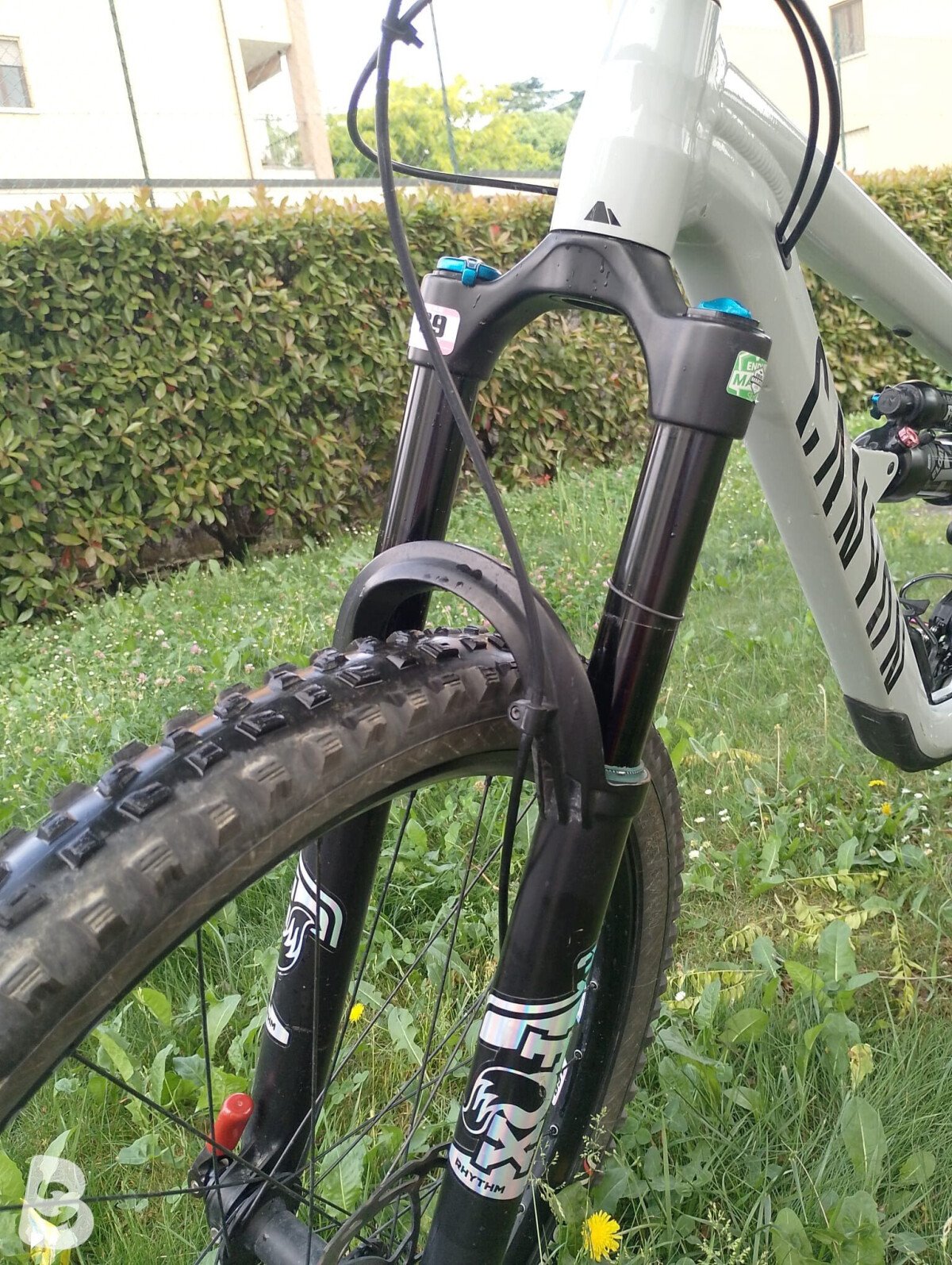 Canyon spectral AL 6 2024