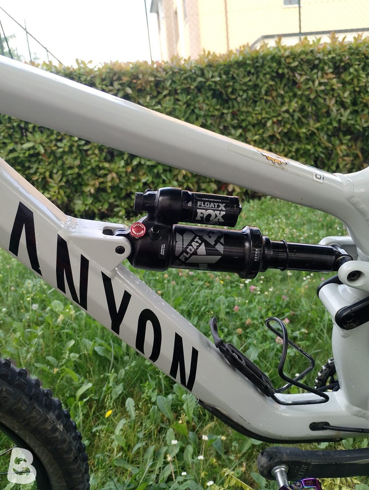Canyon spectral AL 6 2024