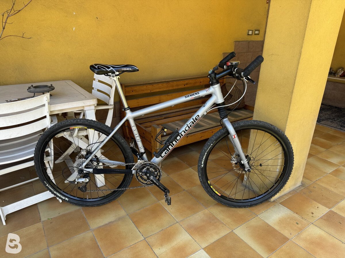 Cannondale optimo 2003