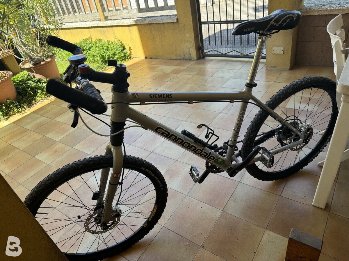 Cannondale optimo 2003