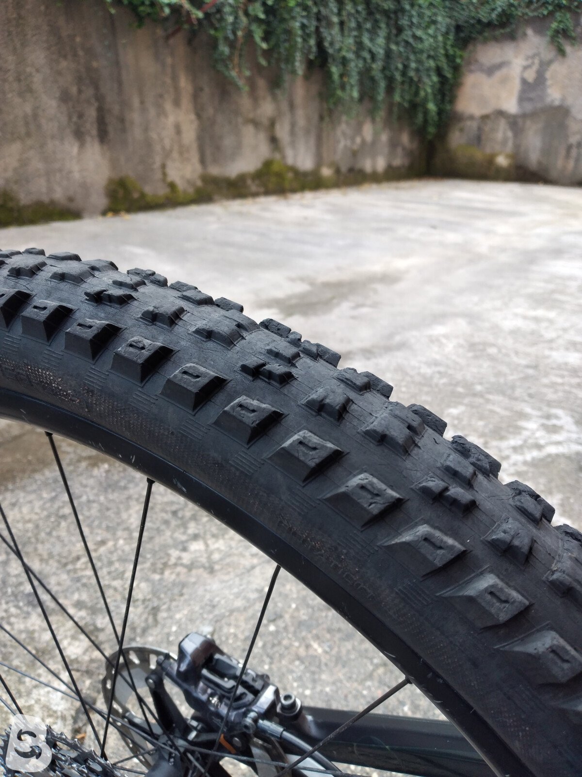 Canyon Neuron CF 9 2023