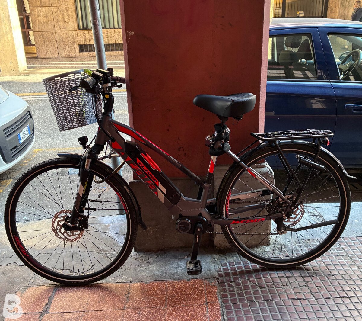 Atala Clever 7.2 2024