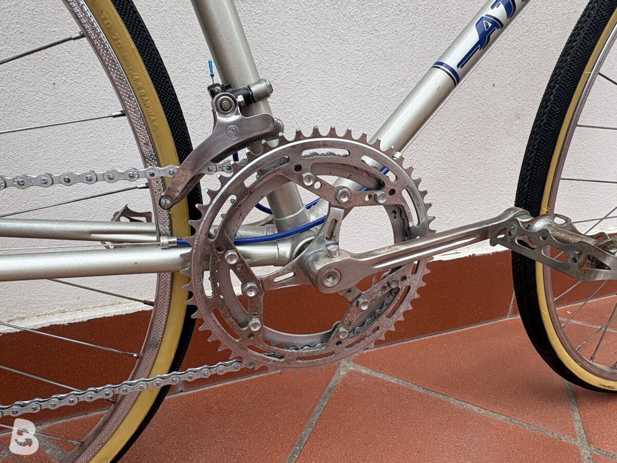Atala Corsa