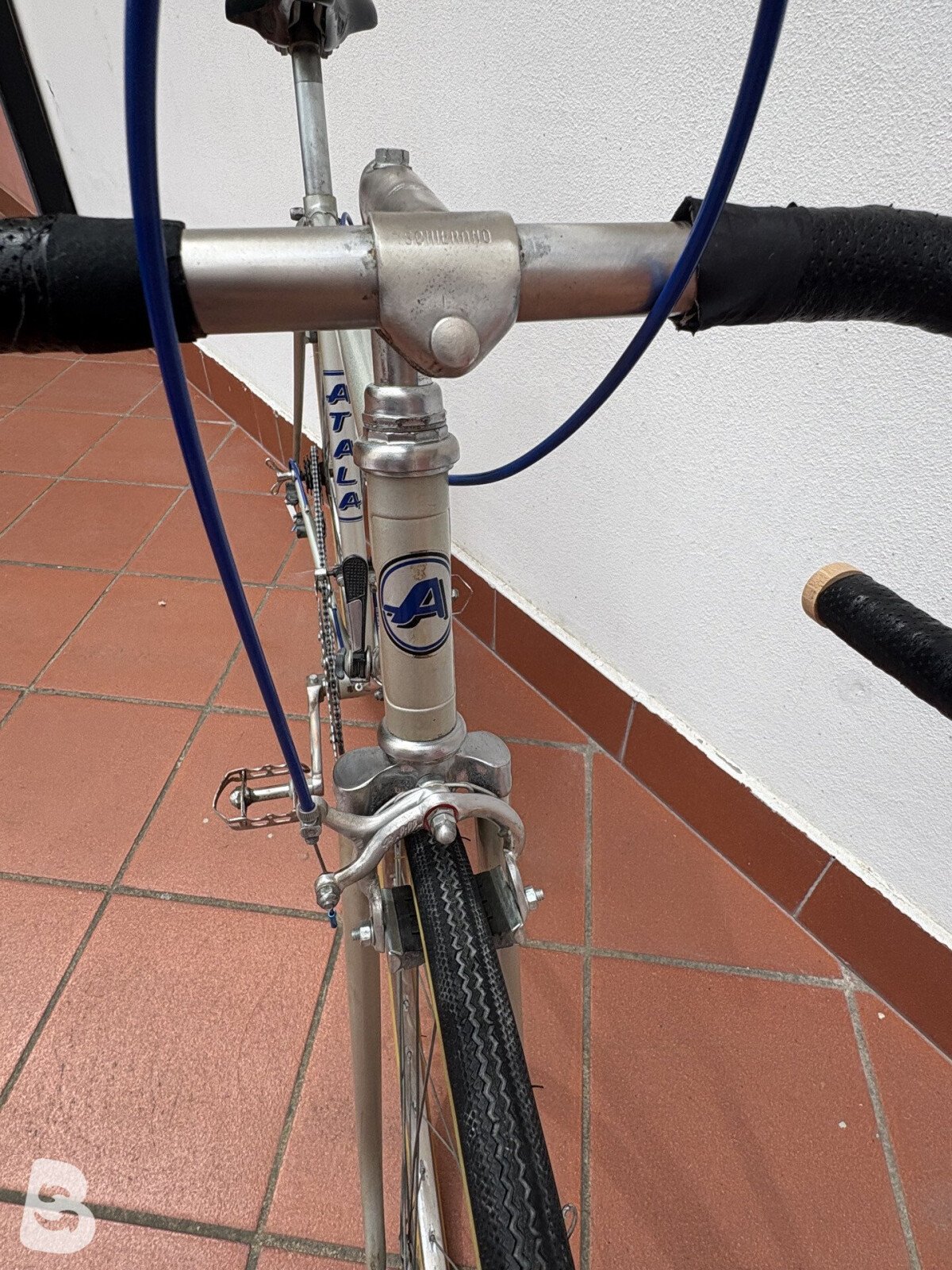 Atala Corsa