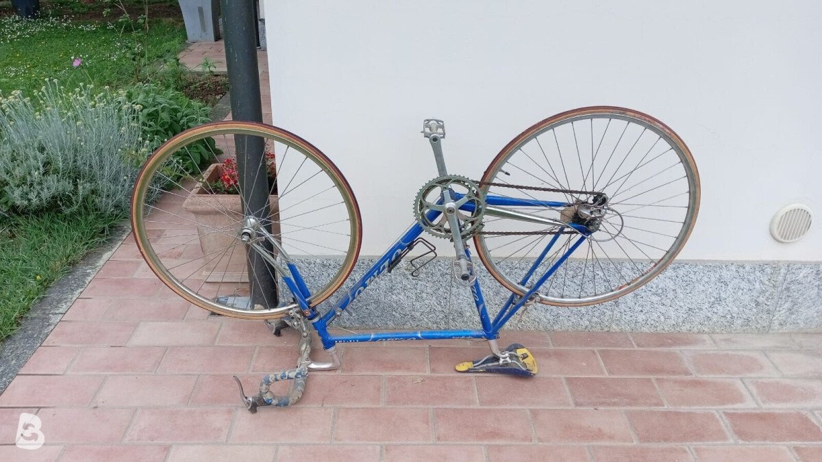 Olmo Vintage
