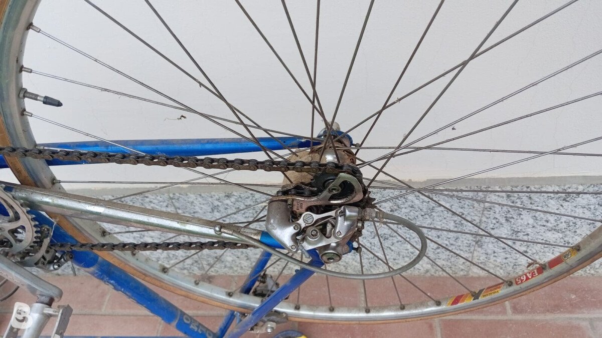 Olmo Vintage