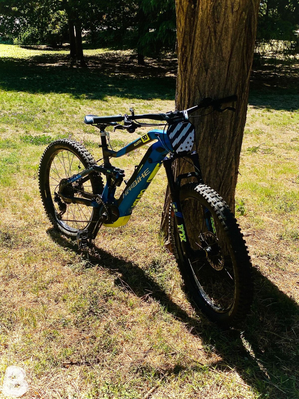 Haibike Xduro Allmtn 9.0 2017