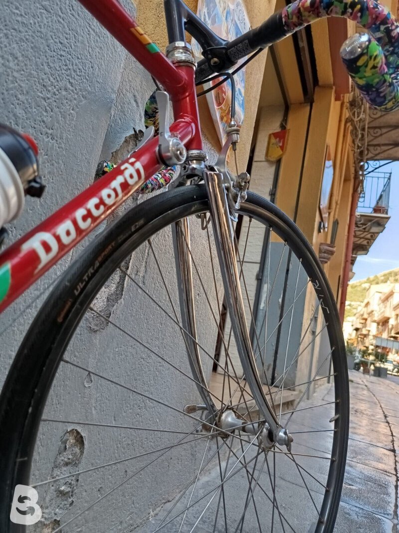 Daccordi Griffe 1990