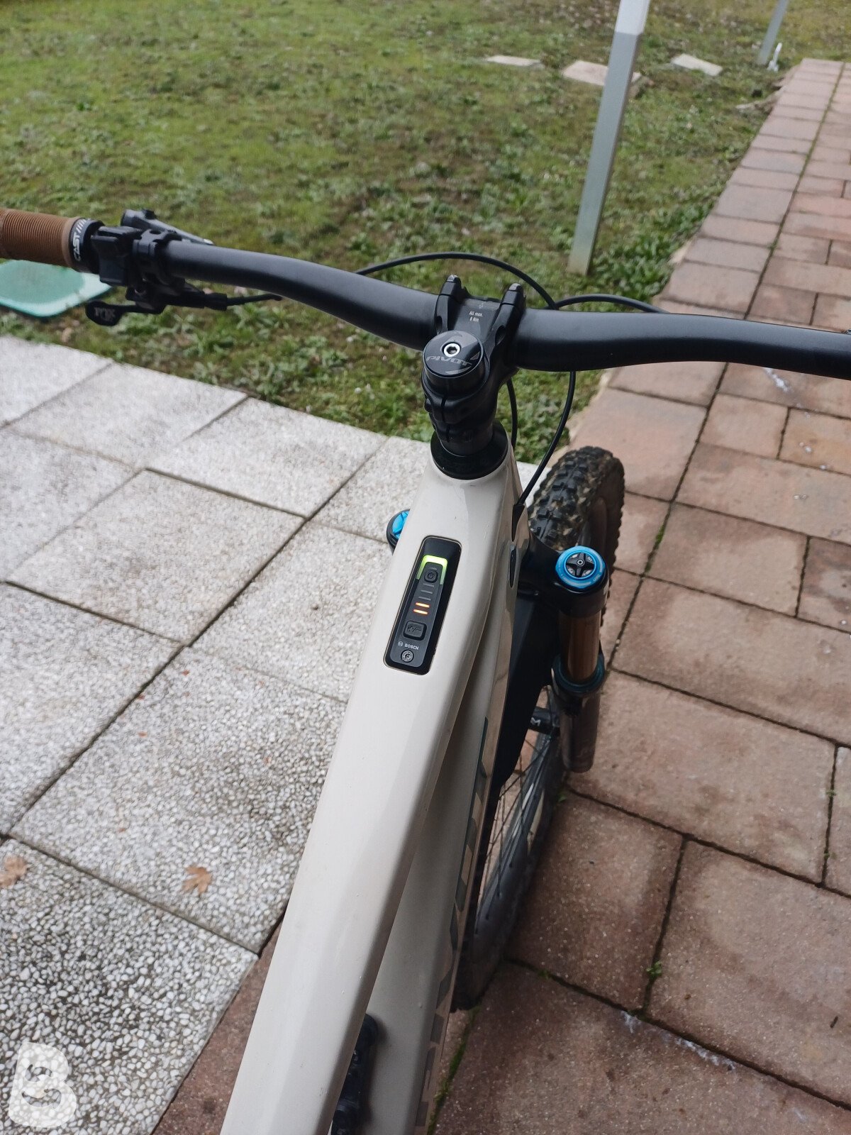 Pivot Shuttle Am XX 2024