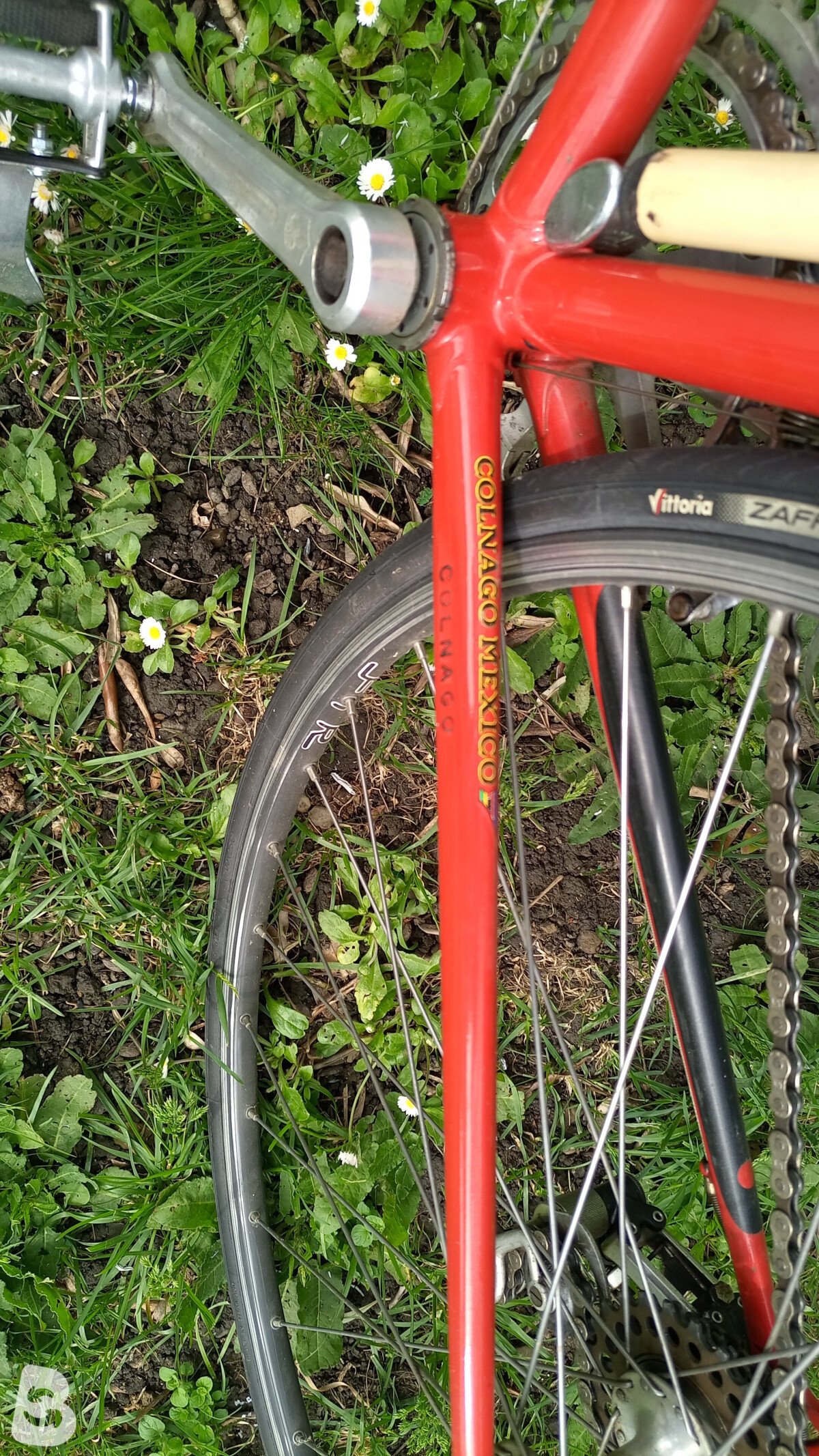 Colnago Mexico 1983