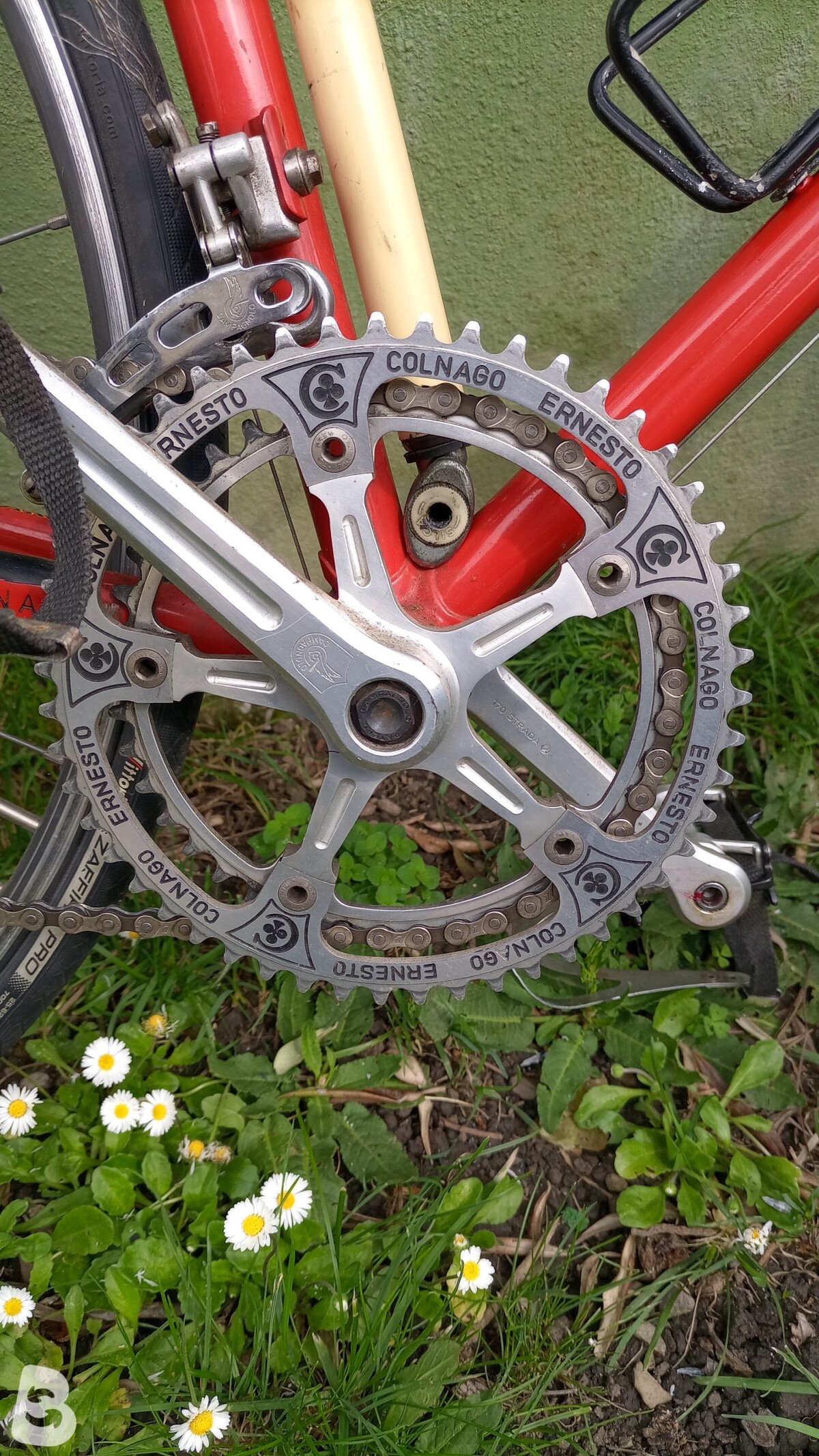 Colnago Mexico 1983