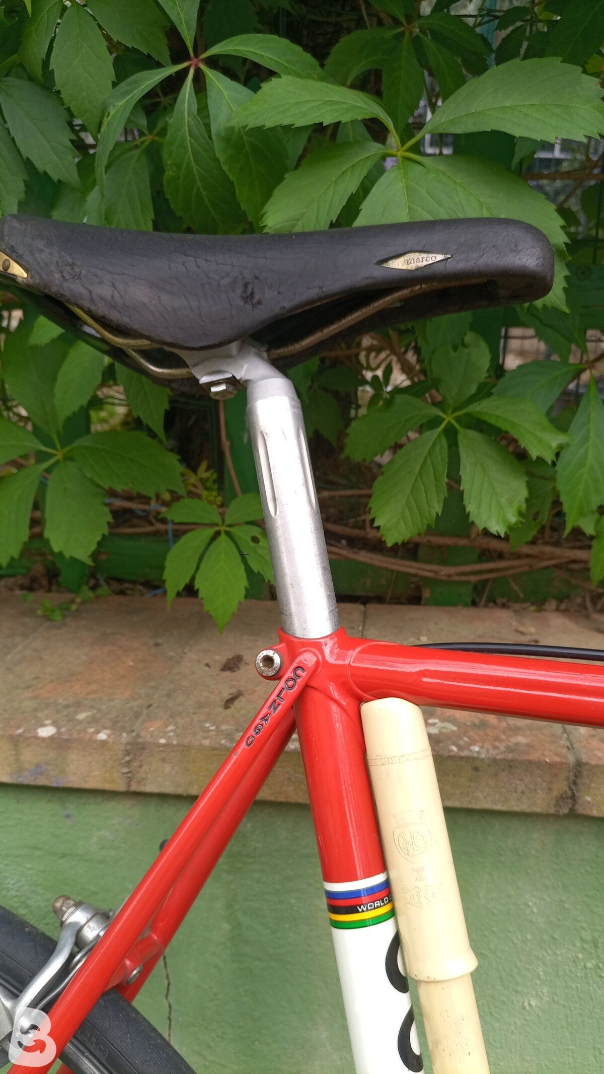 Colnago Mexico 1983