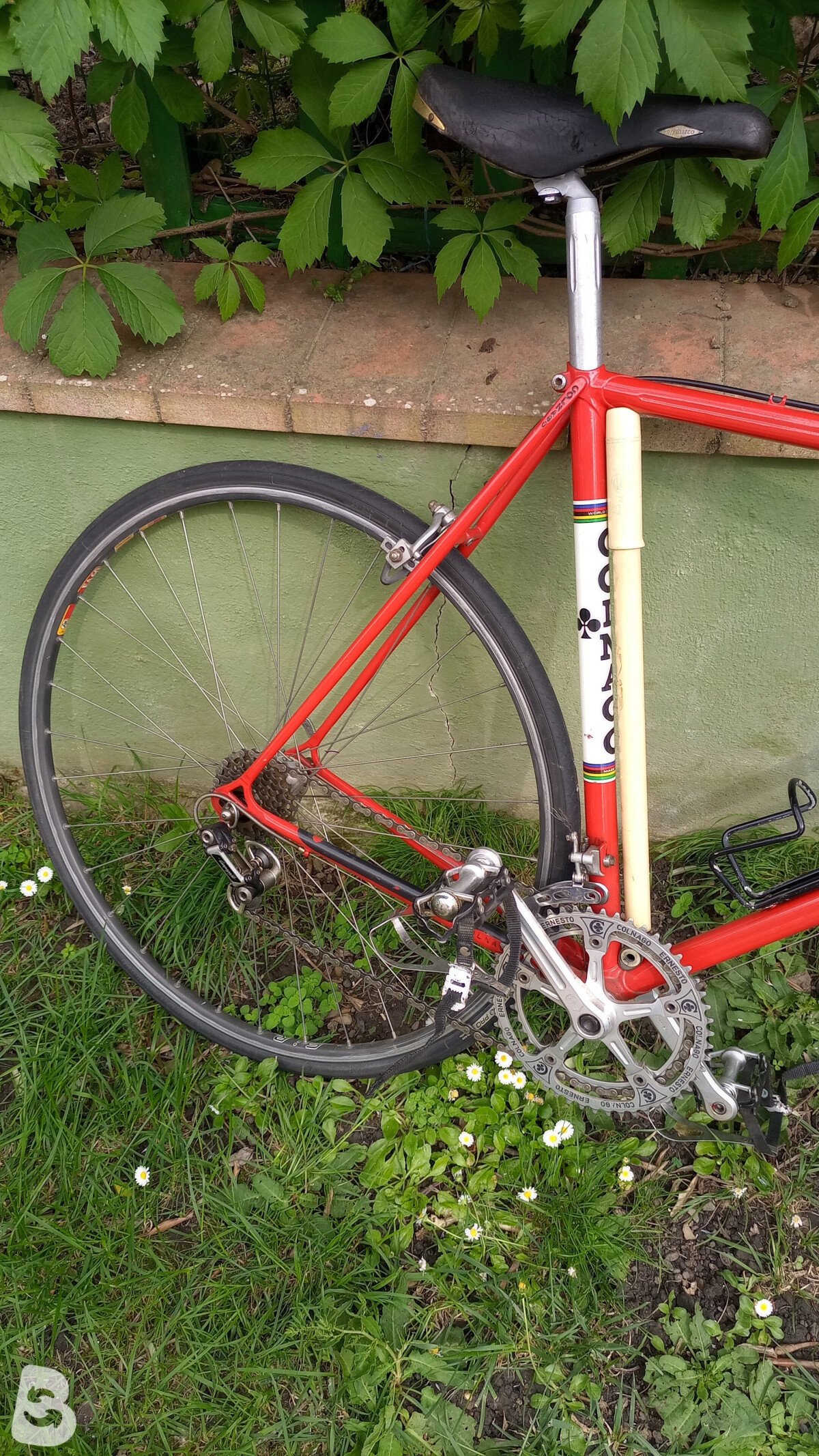 Colnago Mexico 1983