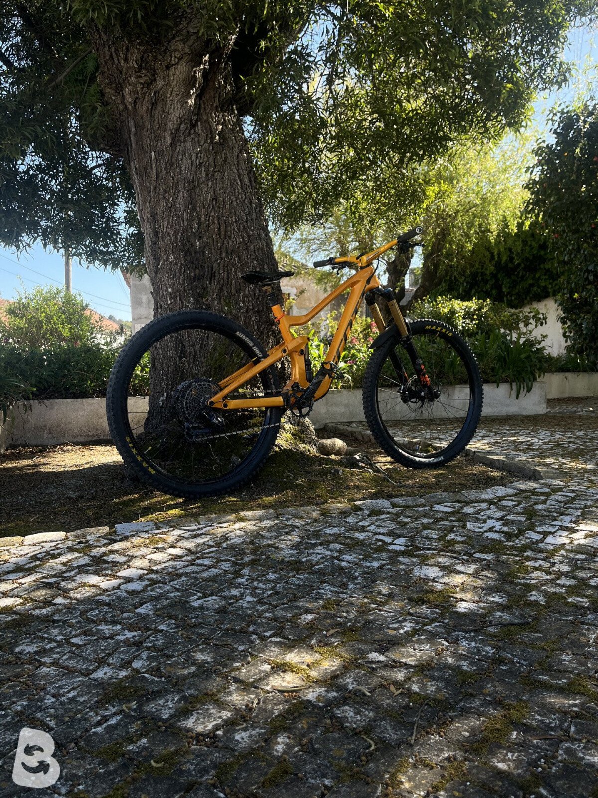 Scott Ransom 900 Tuned 2020