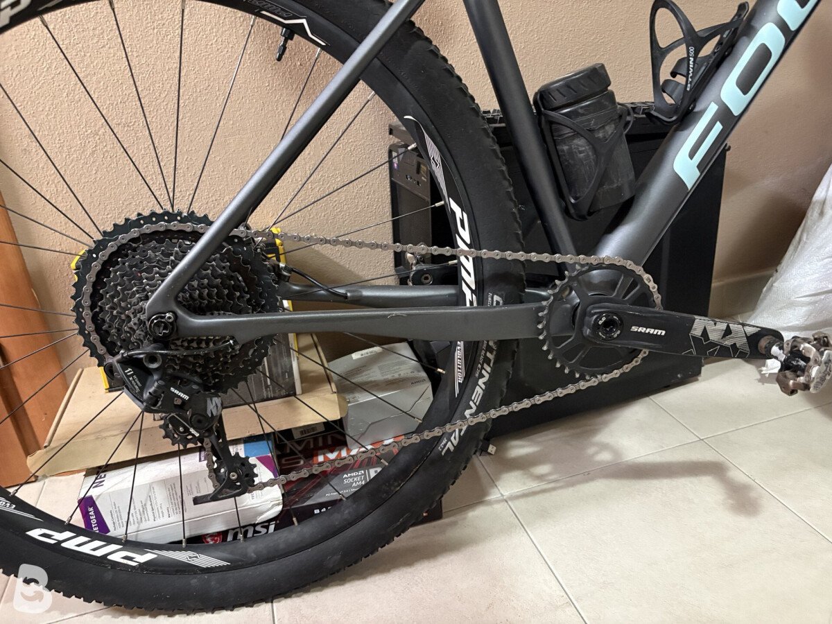 Focus Raven 8.7 2019