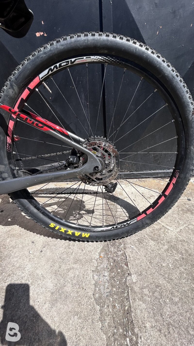 Olmo Bignone 2021