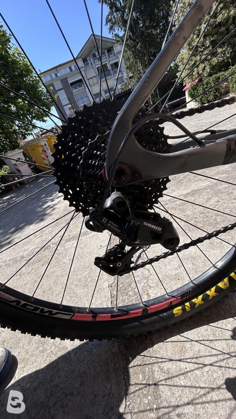 Olmo Bignone 2021