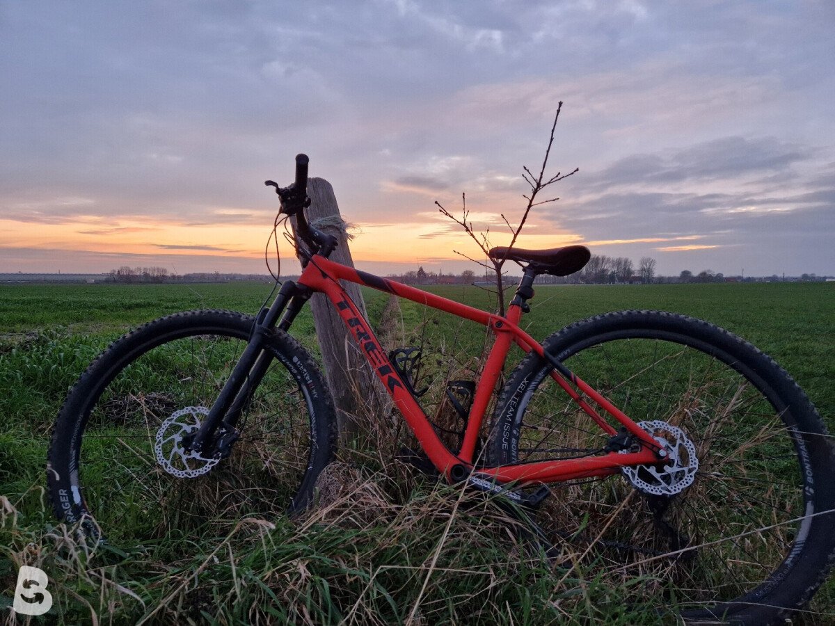 Trek Procaliber 9.6 2021