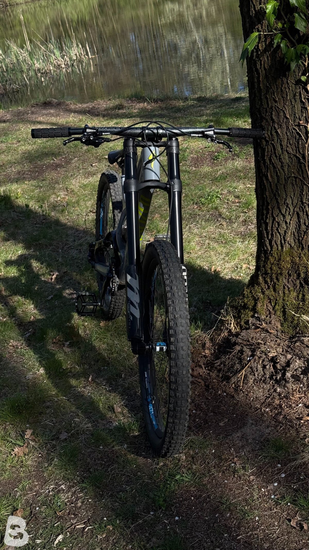 Specialized Demo 2019