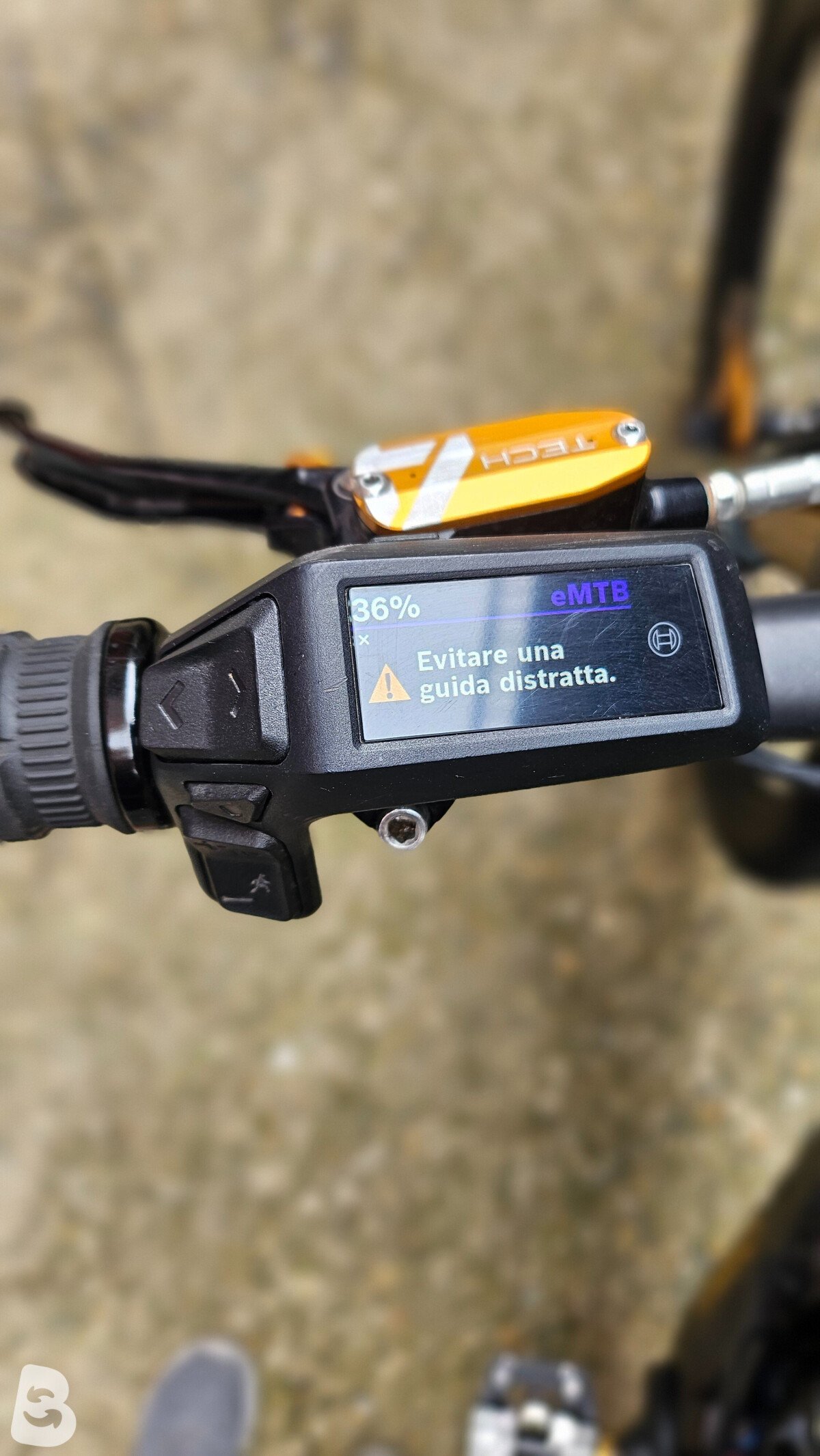 Orbea Wild M10 2024