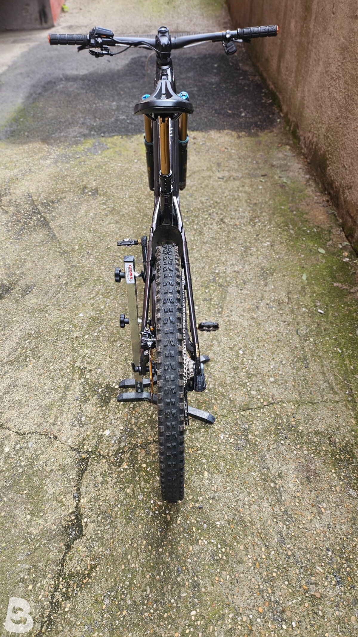 Orbea Wild M10 2024