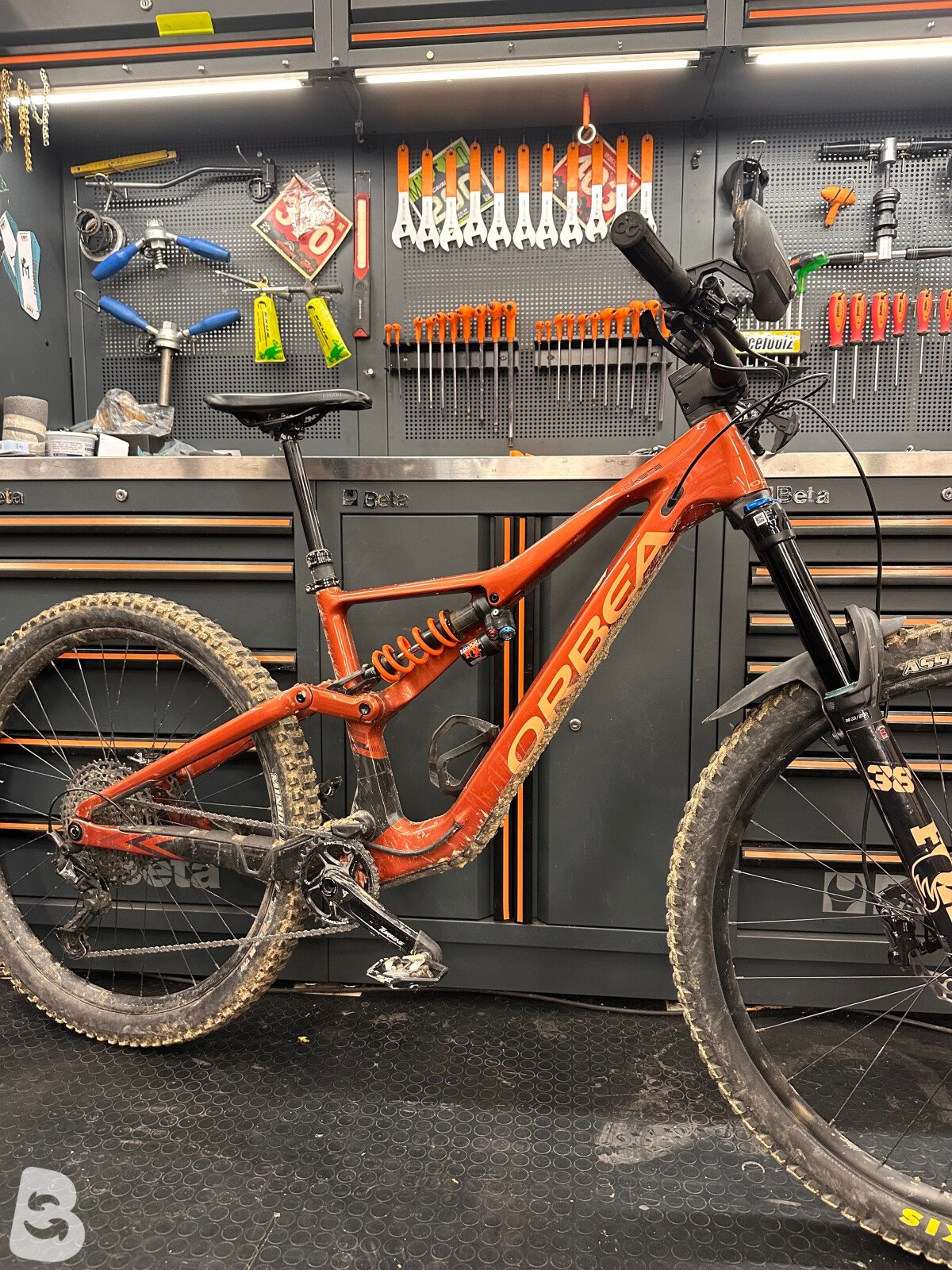 Orbea Rallon M10 2024