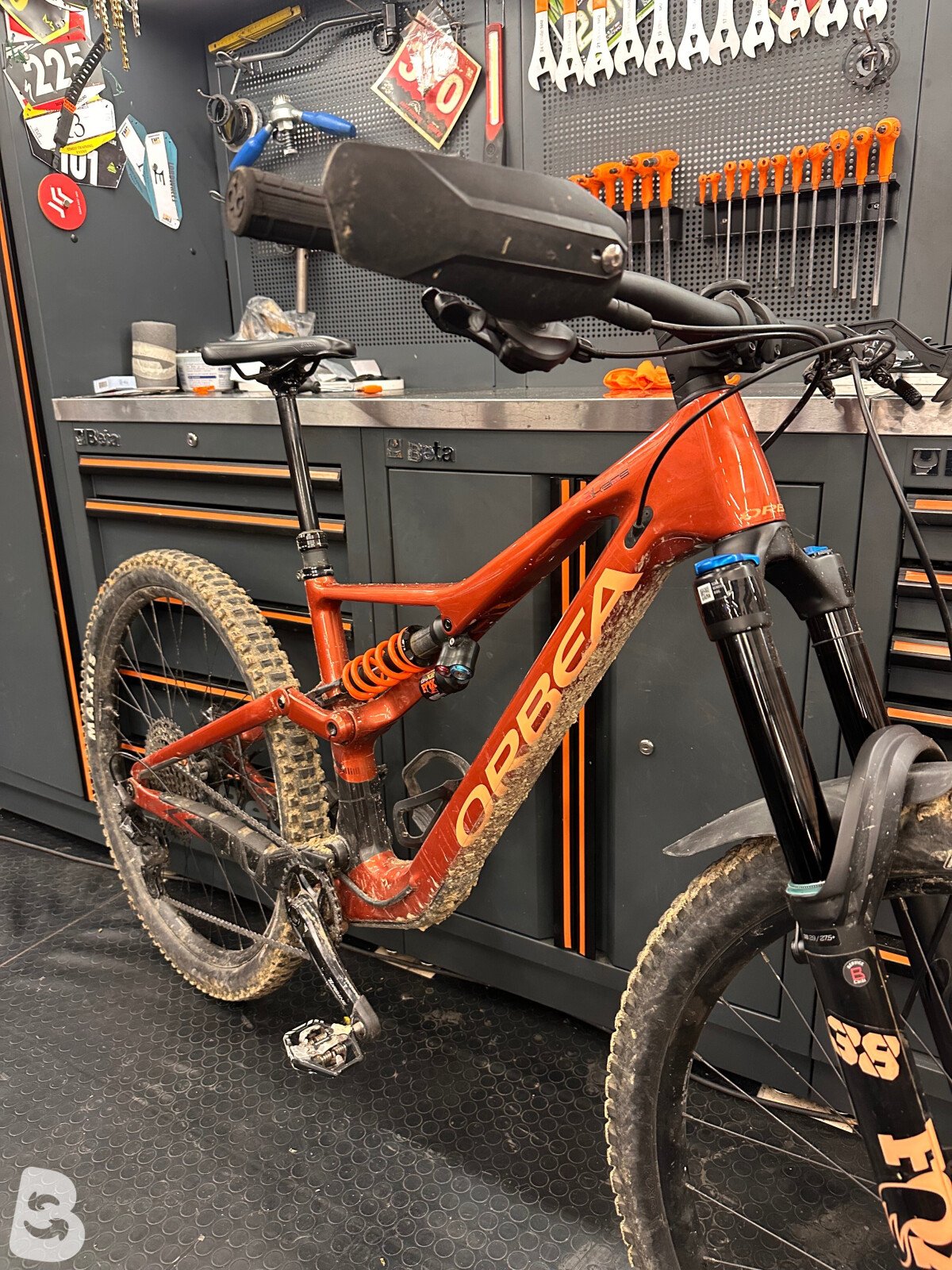 Orbea Rallon M10 2024