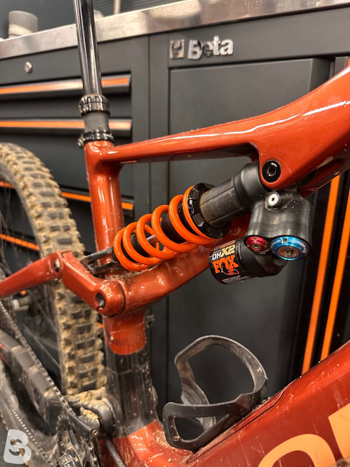 Orbea Rallon M10 2024