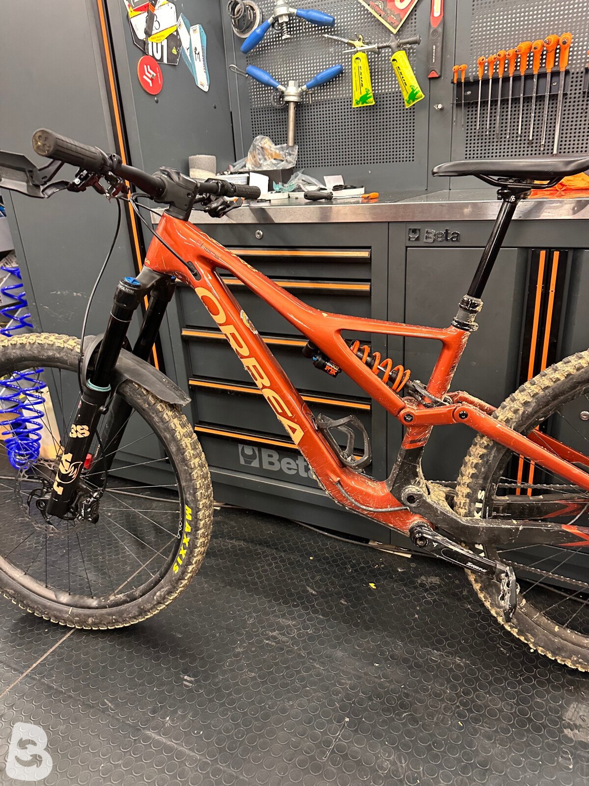 Orbea Rallon M10 2024