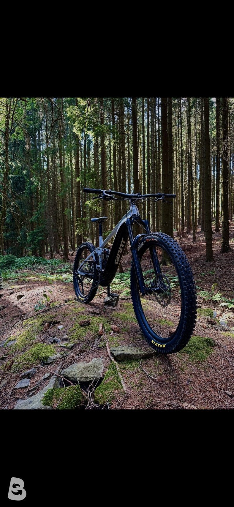Giant Reign E+ 1 2022