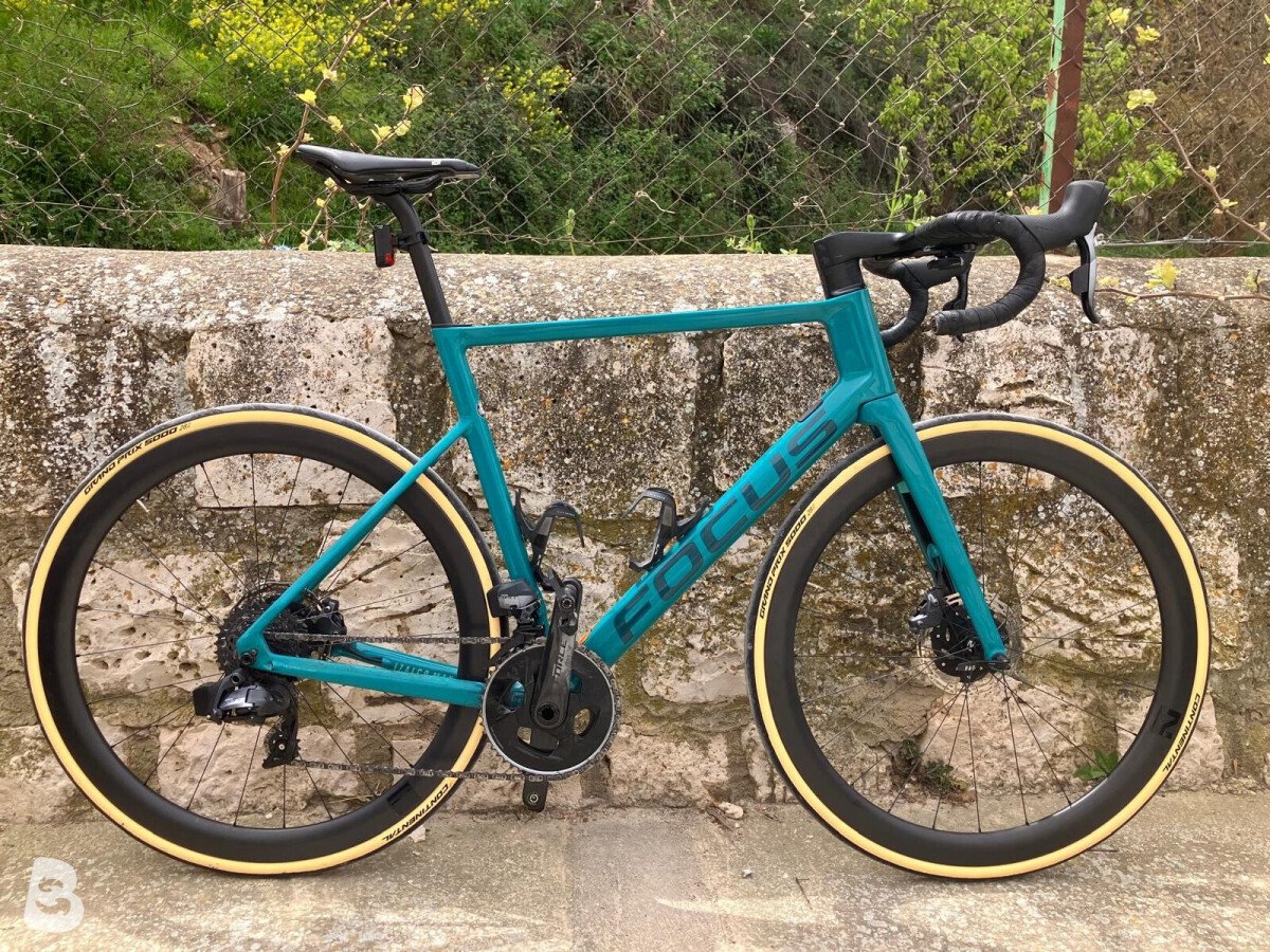 Focus IZALCO MAX DISC 9.9 2022