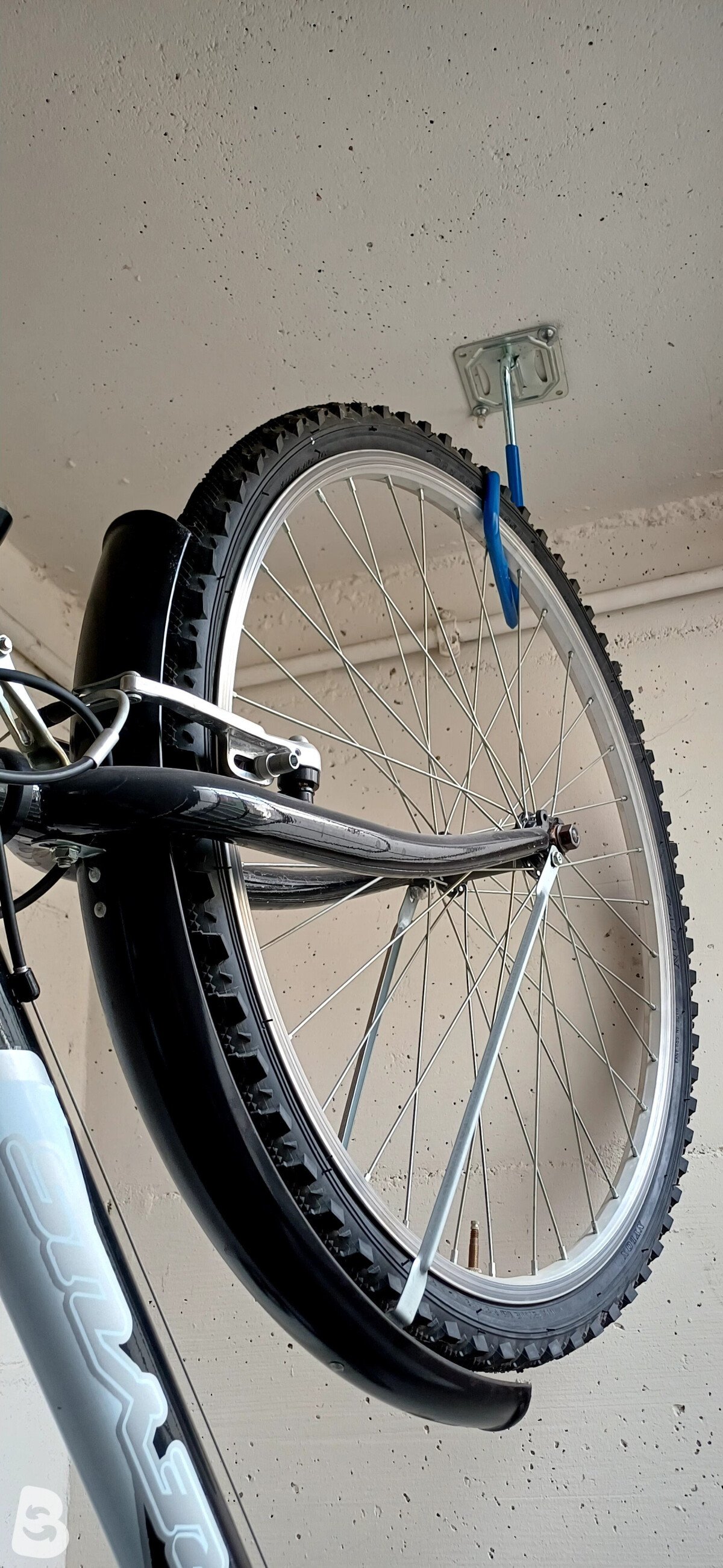 Freyus Tandem 2021