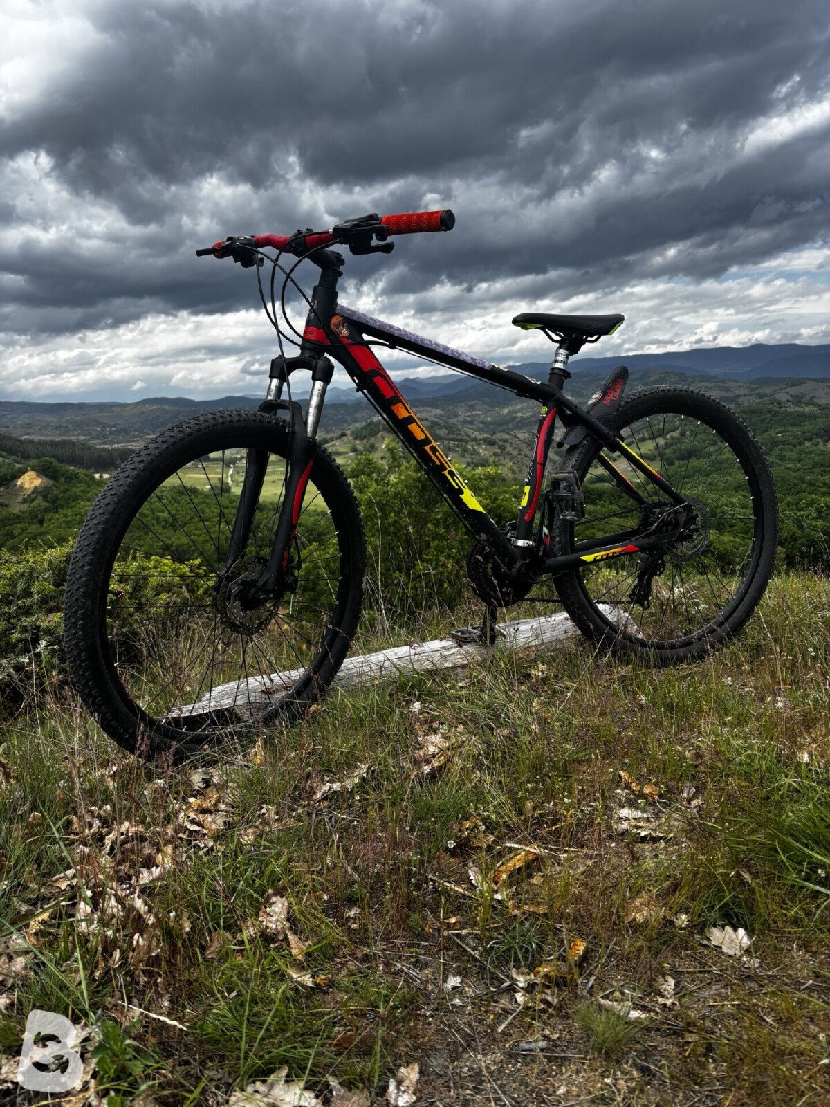 Cross GRX 2022