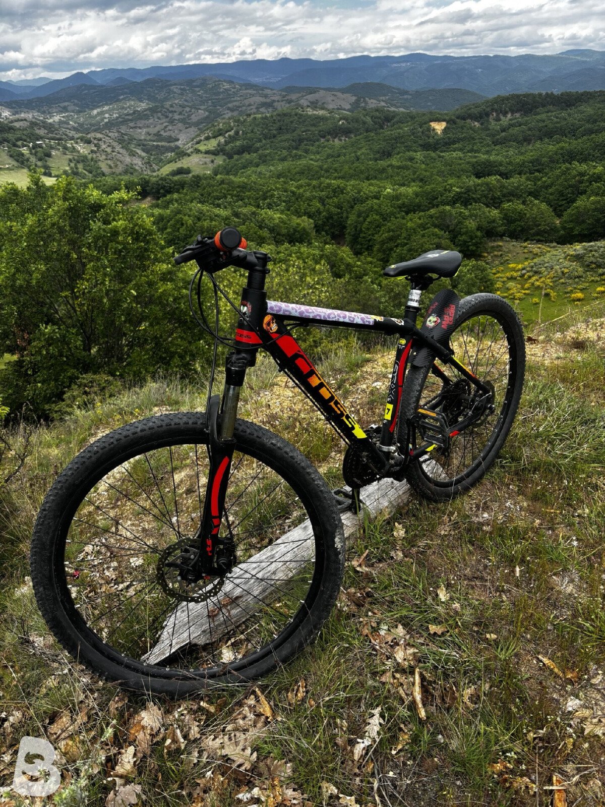 Cross GRX 2022
