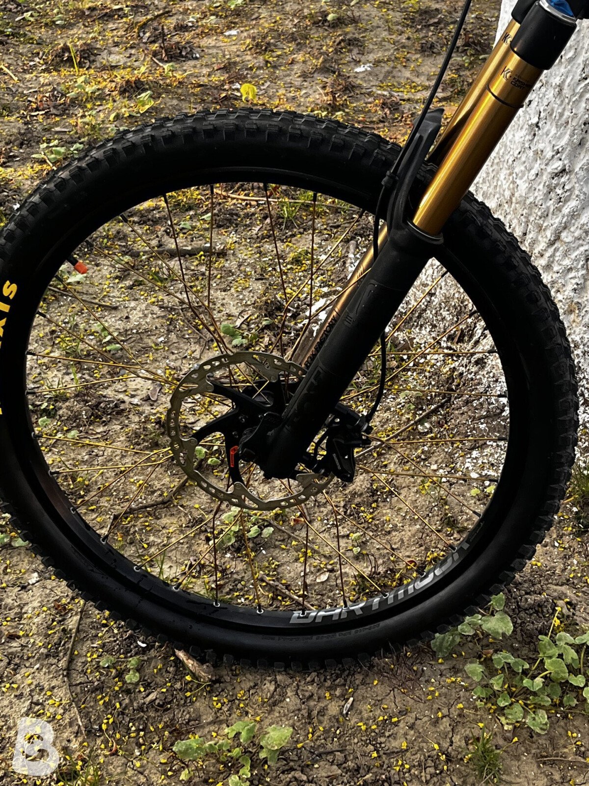 Alutech Fanes 6.0 Custom 2020