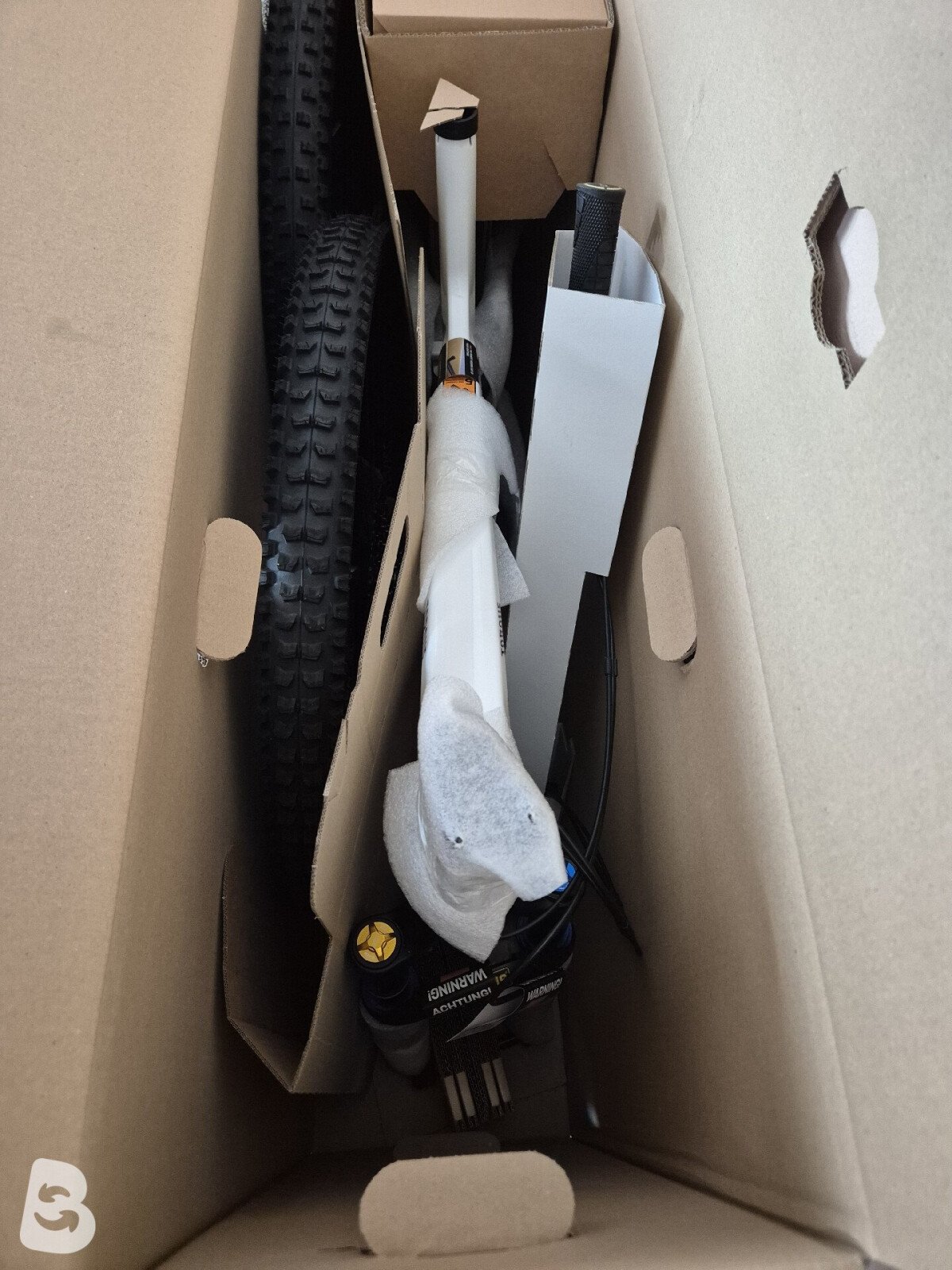 Canyon Torque CF FW Edition 2022