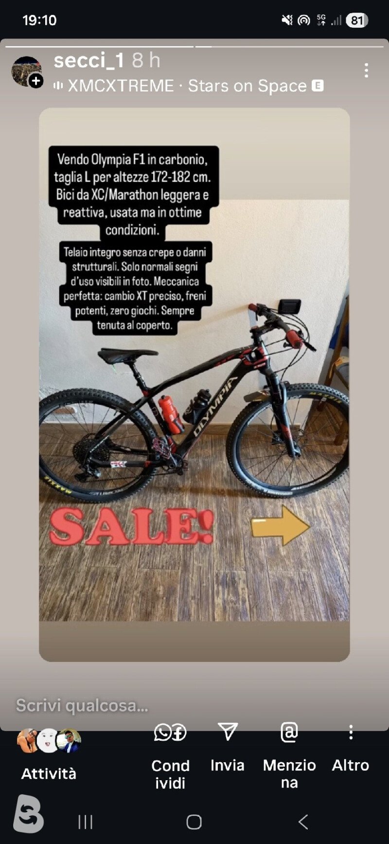 Olympia Carbon F1 2019