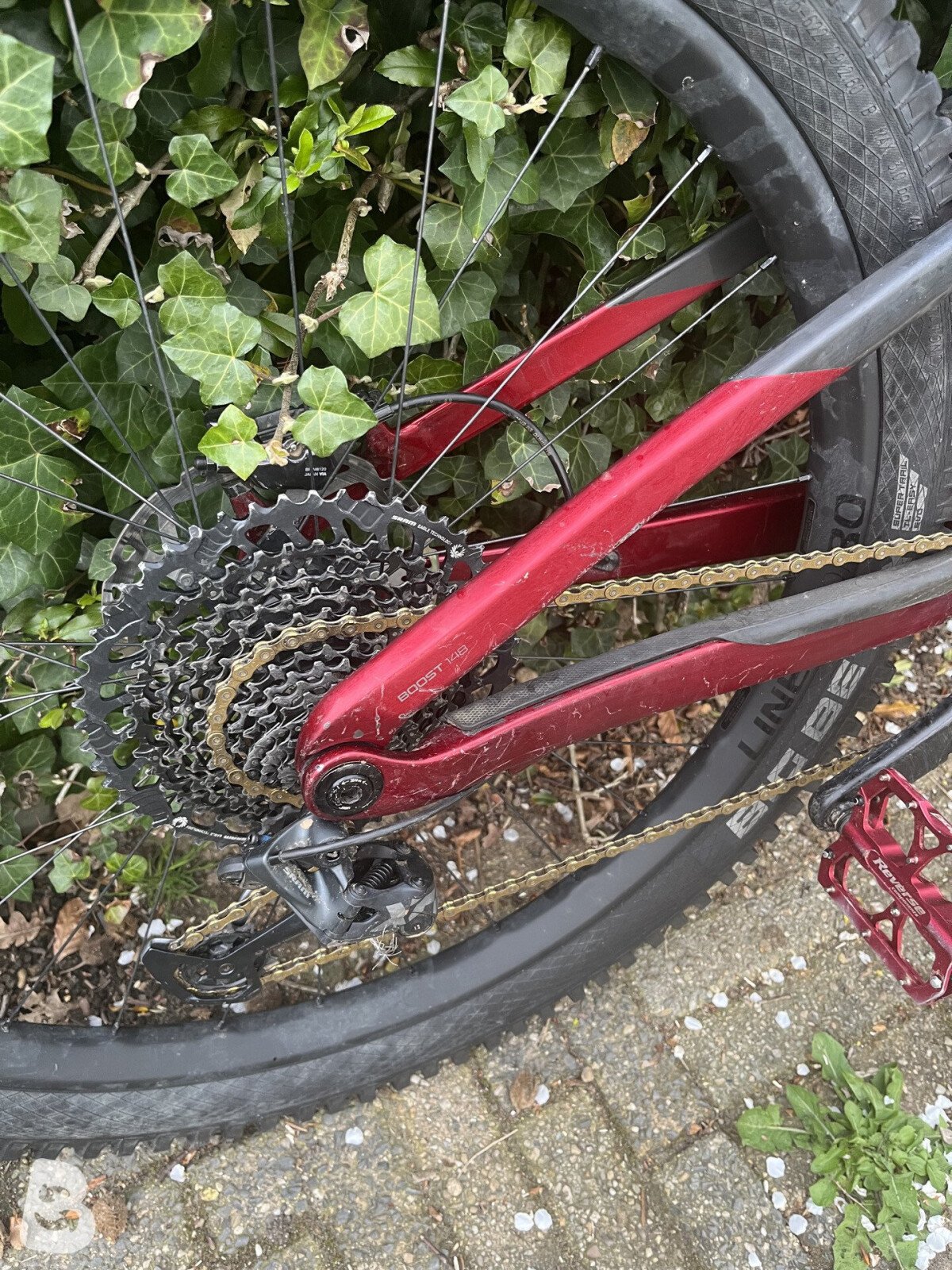 Trek Feul Ex 2021