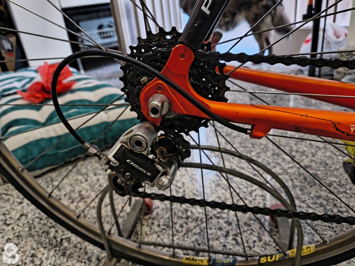 Pinarello Prince 2001