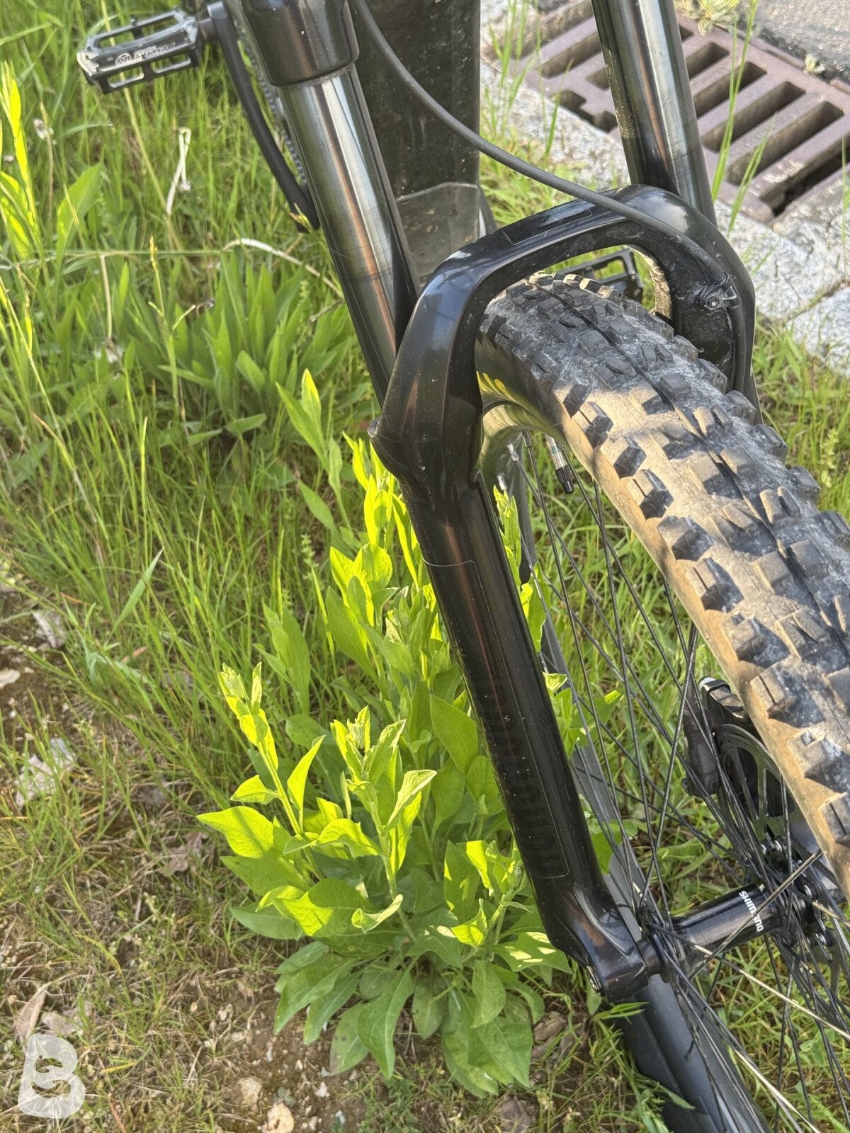 Orbea Wild FS H10 2021