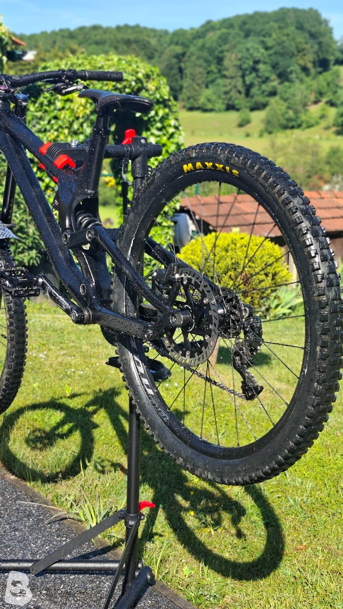 Canyon Sender AL 6.0 2019