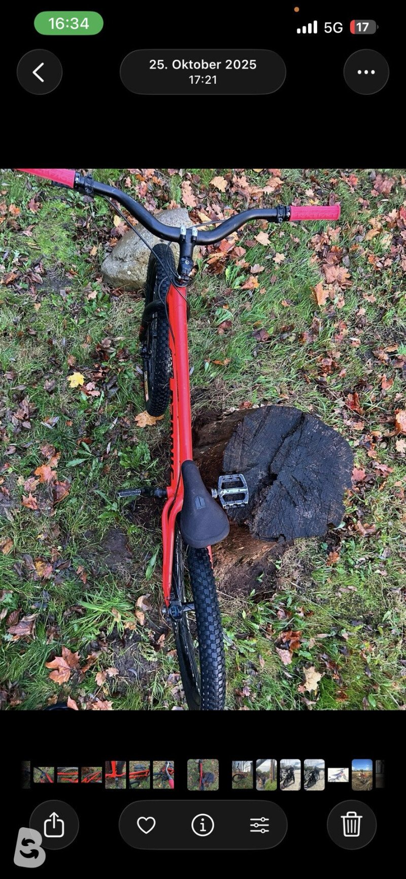 Ozonys Trial 2018